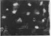 Abbildung des Objekts Ohne Titel