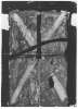 Abbildung des Objekts Ohne Titel