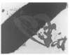Abbildung des Objekts Banda negra i vermell