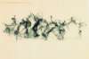 Image of Untitled