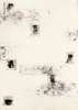 Image of Seis observadores