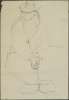 Image of Untitled