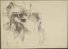 Image of Untitled