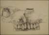 Image of Untitled