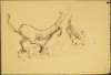 Image of Untitled