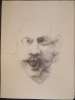 Image of Zorba II