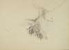 Image of Untitled