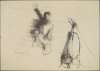 Image of Untitled