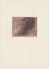 Image of Untitled