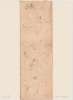 Image of Untitled