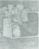 Image of Untitled