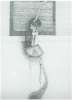 Image of Untitled