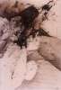 Image of Untitled