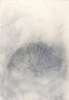Image of Hoja de loto