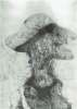 Image of Untitled