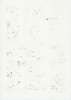 Image of Untitled