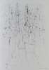 Image of Untitled
