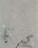 Image of Elementos en juego