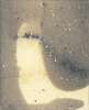 Image of Forma erecta