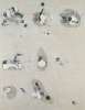 Image of Fragmentos con puntos y manchas