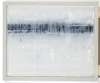 Image of Hilera horizontal