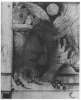 Image of Untitled