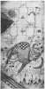 Image of Untitled