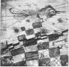 Image of Untitled