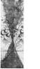 Image of Untitled