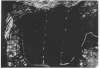 Image of Untitled