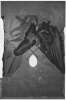 Image of Untitled