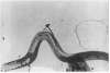 Image of Untitled