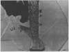 Image of Untitled