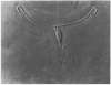 Image of Untitled