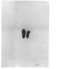Image of Untitled