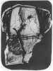 Image of Untitled