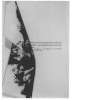 Image of Untitled