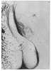 Image of Untitled