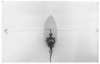 Image of Untitled