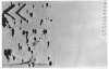 Image of Untitled