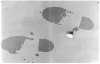 Image of Untitled