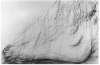 Image of Untitled