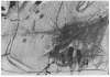 Image of Untitled