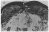 Image of Untitled