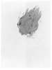 Image of Untitled
