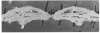 Image of Untitled