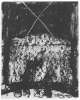 Image of Untitled