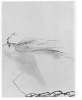 Image of Untitled