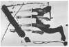 Image of Untitled