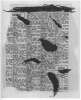 Image of Untitled